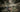 🛡️ Gothic 1 Remake System Requirements: Can Your PC Handle It?