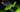 We now have confirmation that the entire European supply of RTX 50 FE cards was scalped by bots before the official launch. - Hyper Cyber