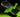 We now have confirmation that the entire European supply of RTX 50 FE cards was scalped by bots before the official launch. - Hyper Cyber